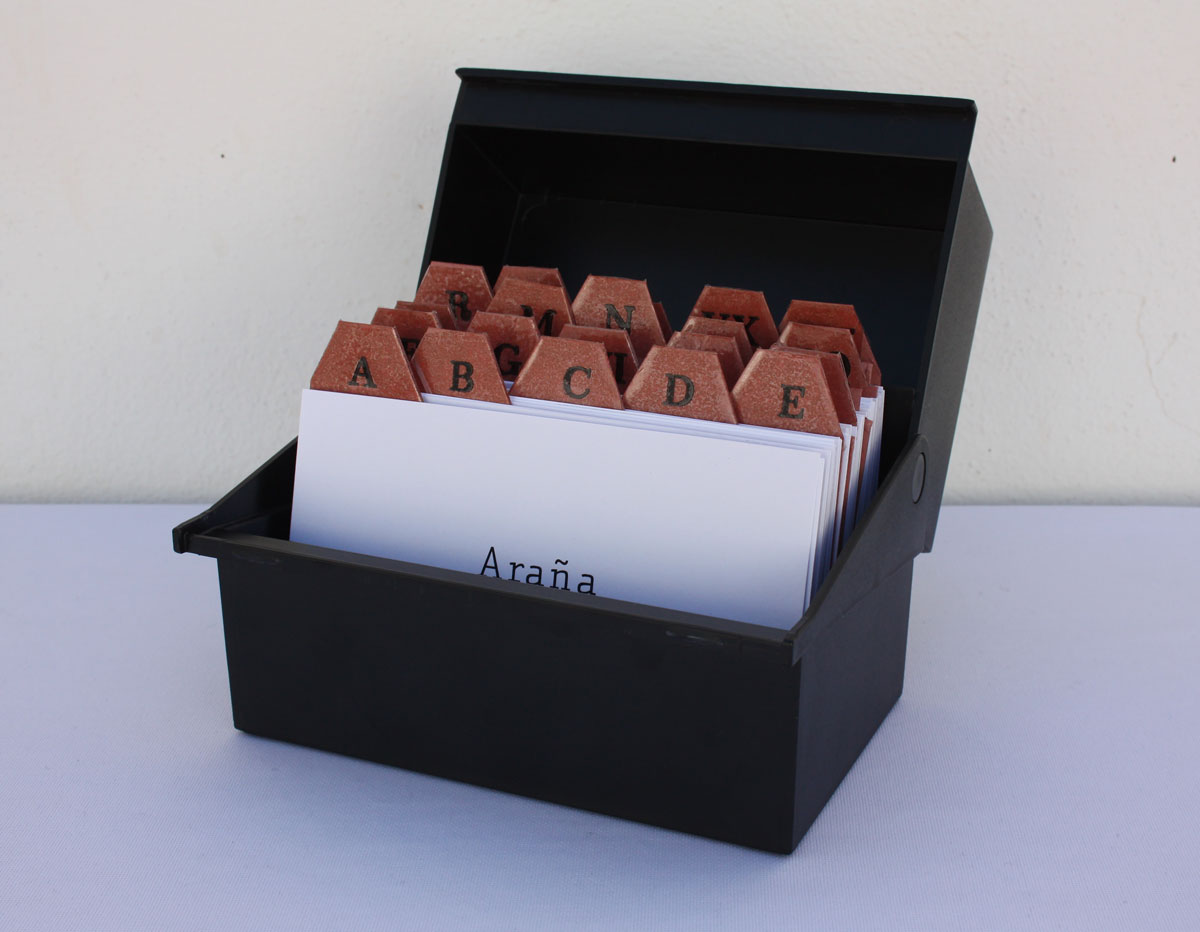 DELIA MORALES DOMÍNGUEZ